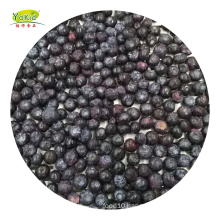 IQF Frozen Blueberry Fruit Prices
